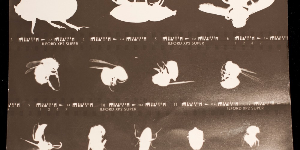 2) foto stampata-1
