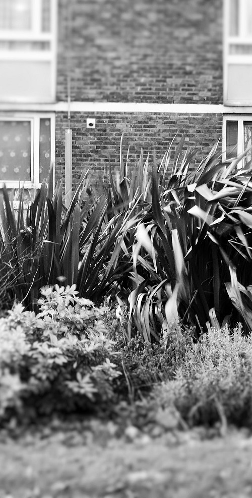 DSC03061 (2)
